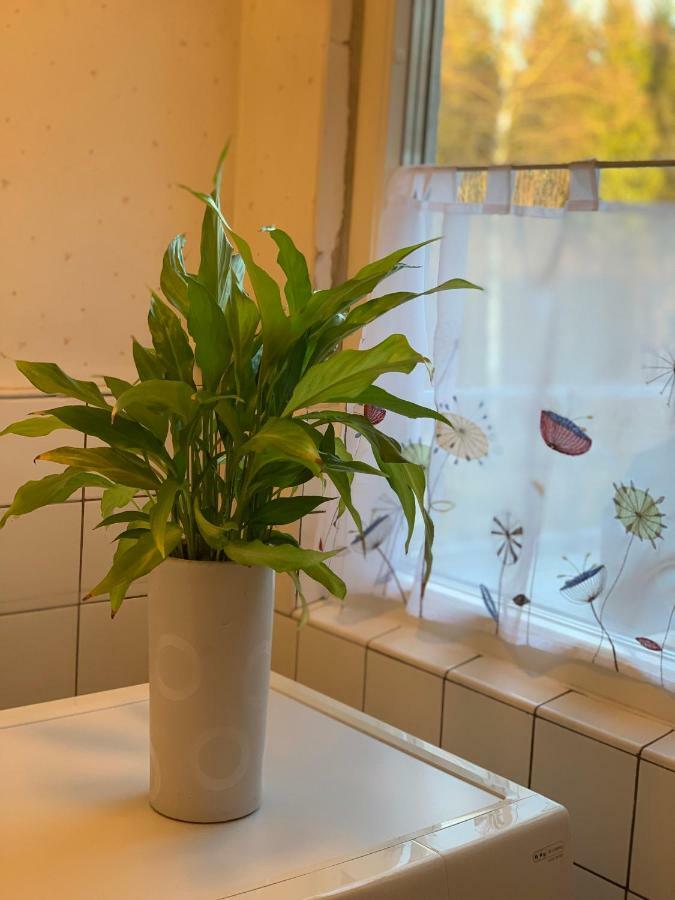 Cozy House In Kosta Center Surrounding With Swedish Nature Екстериор снимка