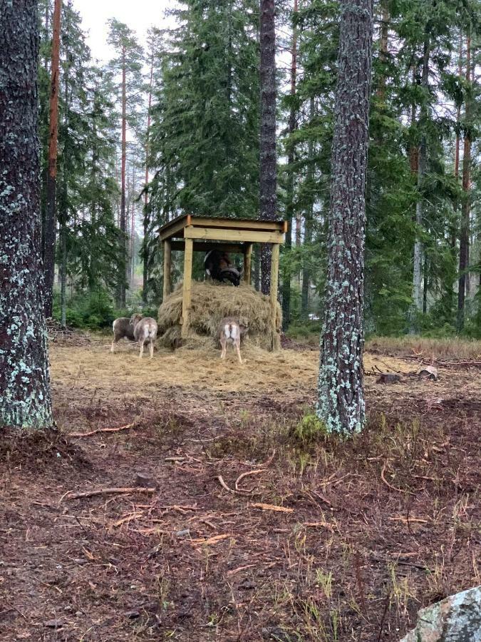 Cozy House In Kosta Center Surrounding With Swedish Nature Екстериор снимка